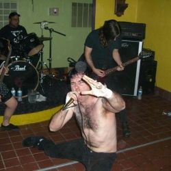 Open crwr